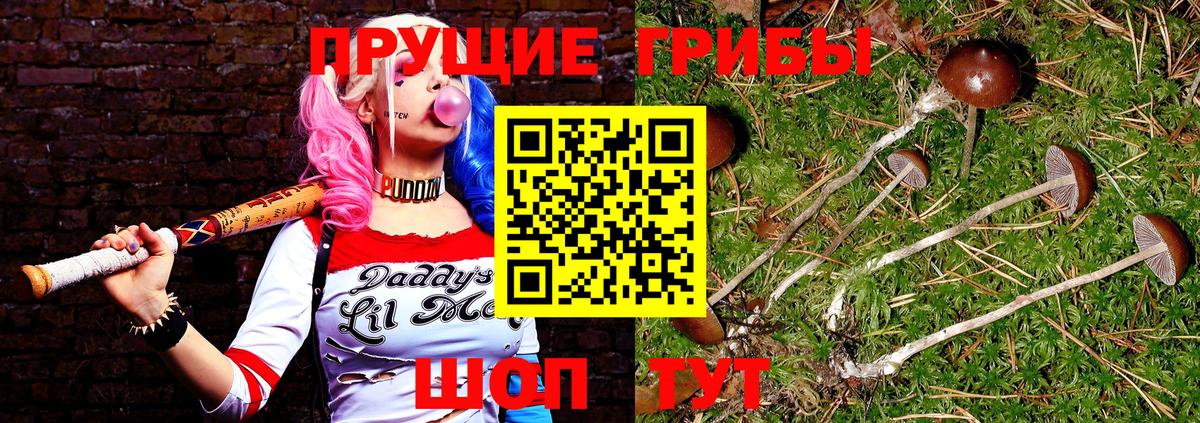 Псилоцибиновые грибы прущие грибы  Вход с VPN  Костомукша 